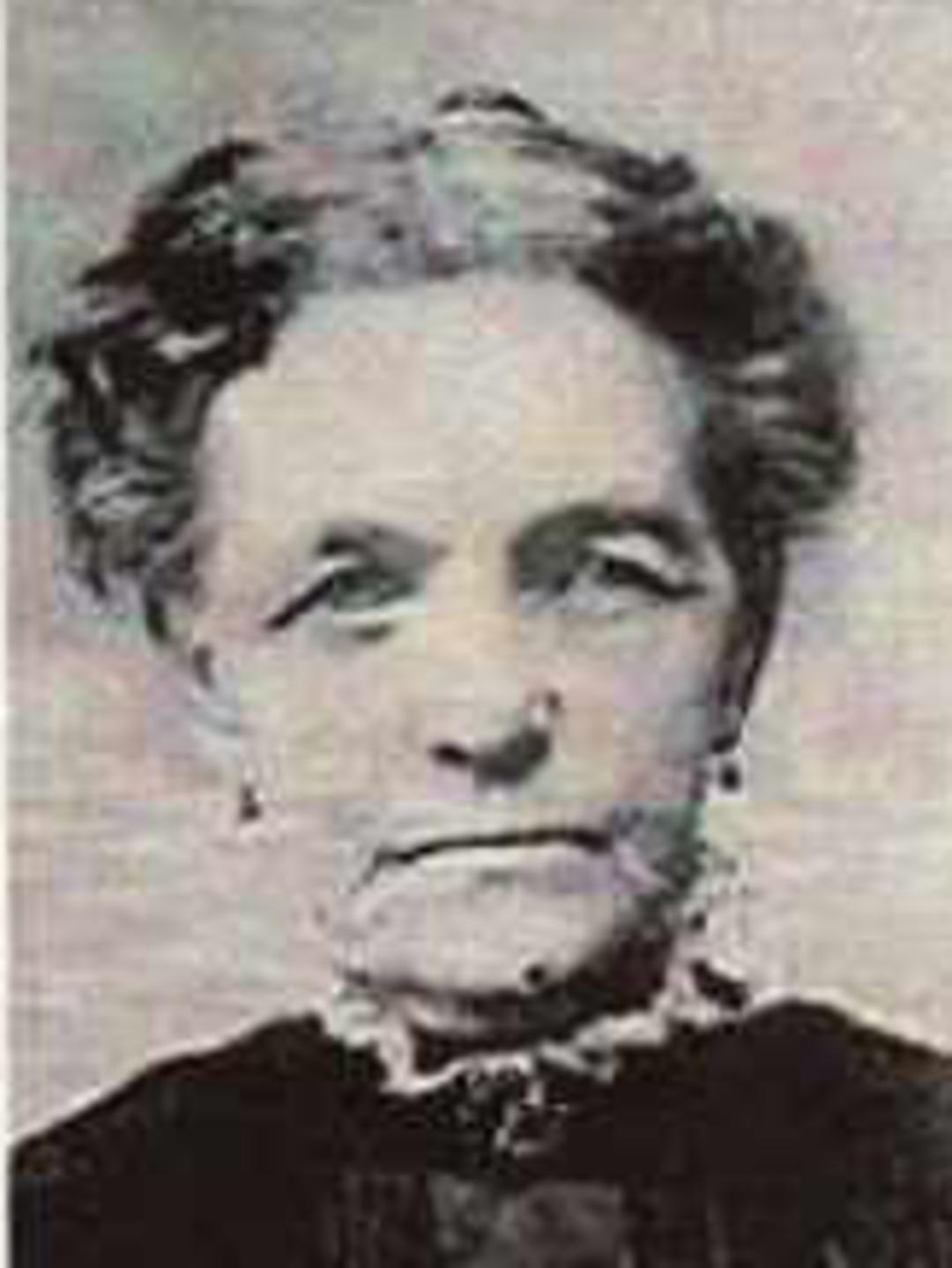 Lucy Ellen Norton (1840 - 1915) Profile